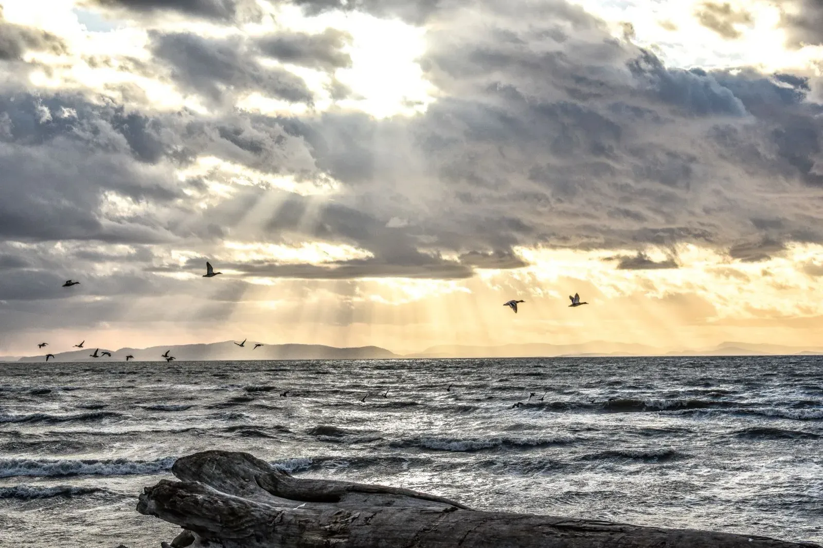 Permit Fishing Guide: Where, When & How in 2026 | One Outdoors