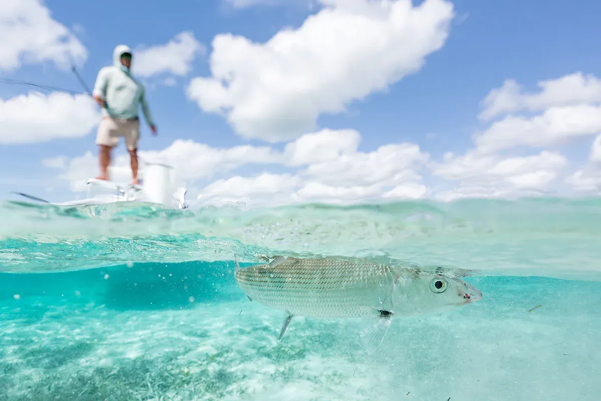 Bonefish Fishing Guide: Where, When & How in 2026 | One Outdoors
