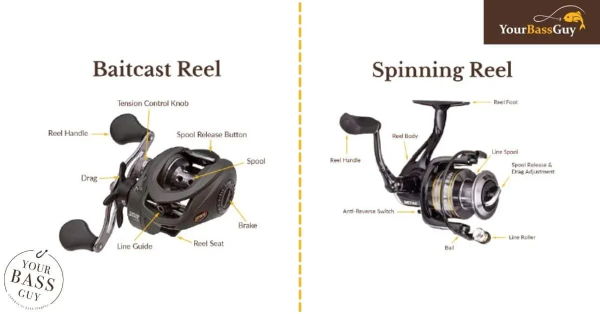 Best Spinning Rods 2026: Bass, Trout, Surf, Walleye | One Outdoors