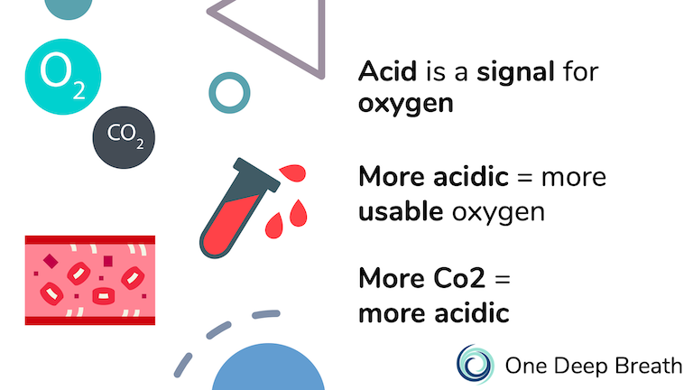 The more acidic and area is, the more oxygen the area will use from the bloodstream and breath.