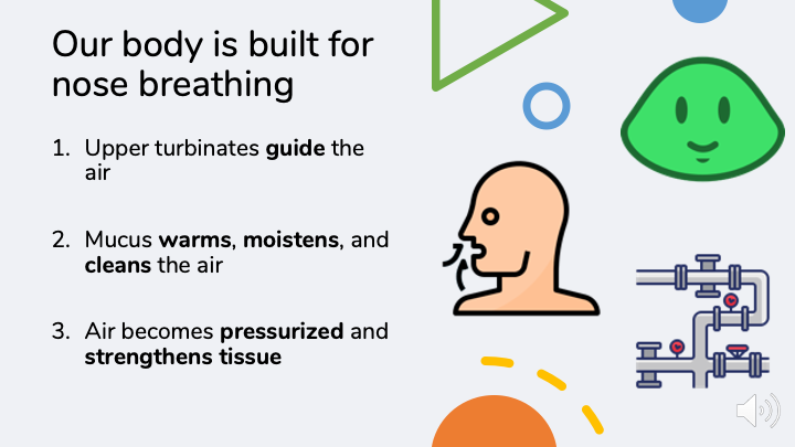 Nose breathing travels through turbinates that filter air.  Mucus, guided by cilia, warms, moistens, and cleans the air.  It also becomes pressurized.