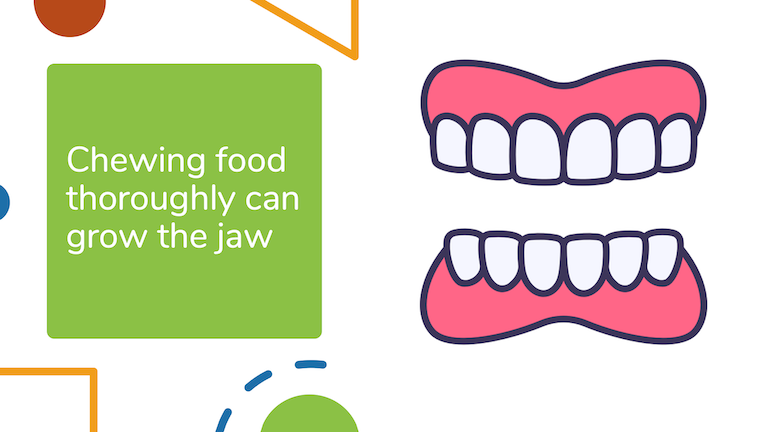 Chewing your food thoroughly and completely can stimulate the growth of stem cells and expand the jaw.