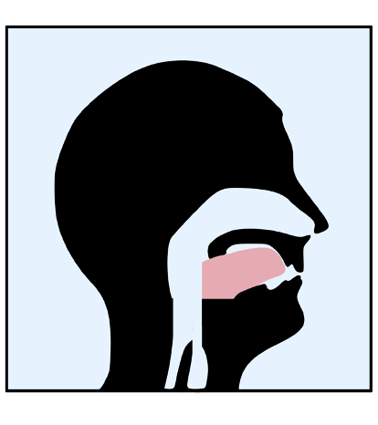 Your tongue should touch the roof of your mouth so that the airway has plenty of room for breathing.