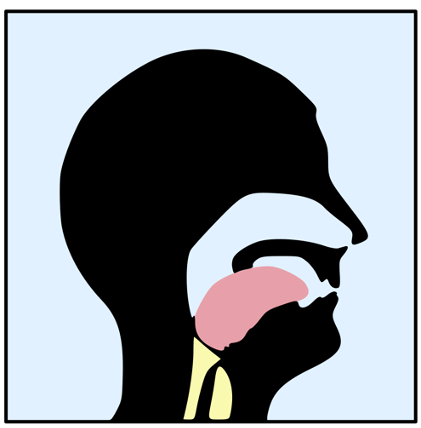 If your tongue is too far back in your throat, you block the airway and make it harder to breathe through your nose, contributing to sleep apnea and snoring.