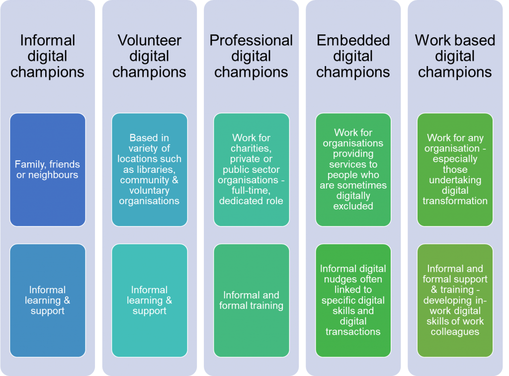 Digital champions model infographic