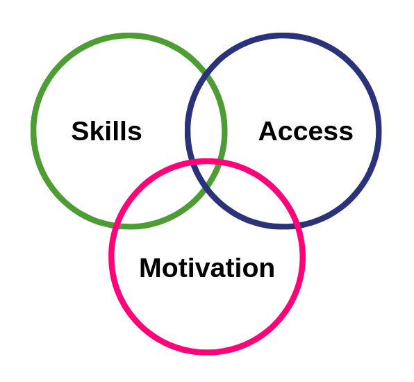 Graphic: The three main barriers to Digital Inclusion and participation are lack of skills, access or motivation.