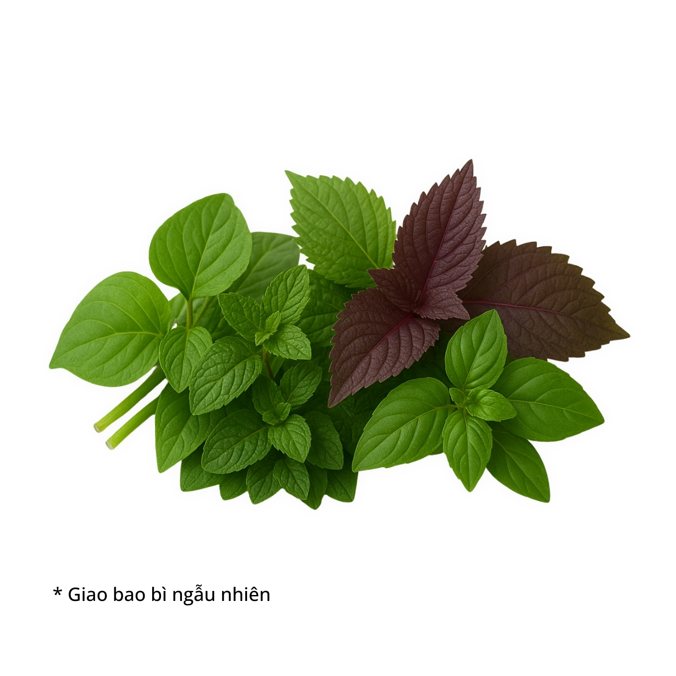 Rau thơm hỗn hợp VietGAP gói 100g - Chuỗi siêu thị thực phẩm tươi ngon ...