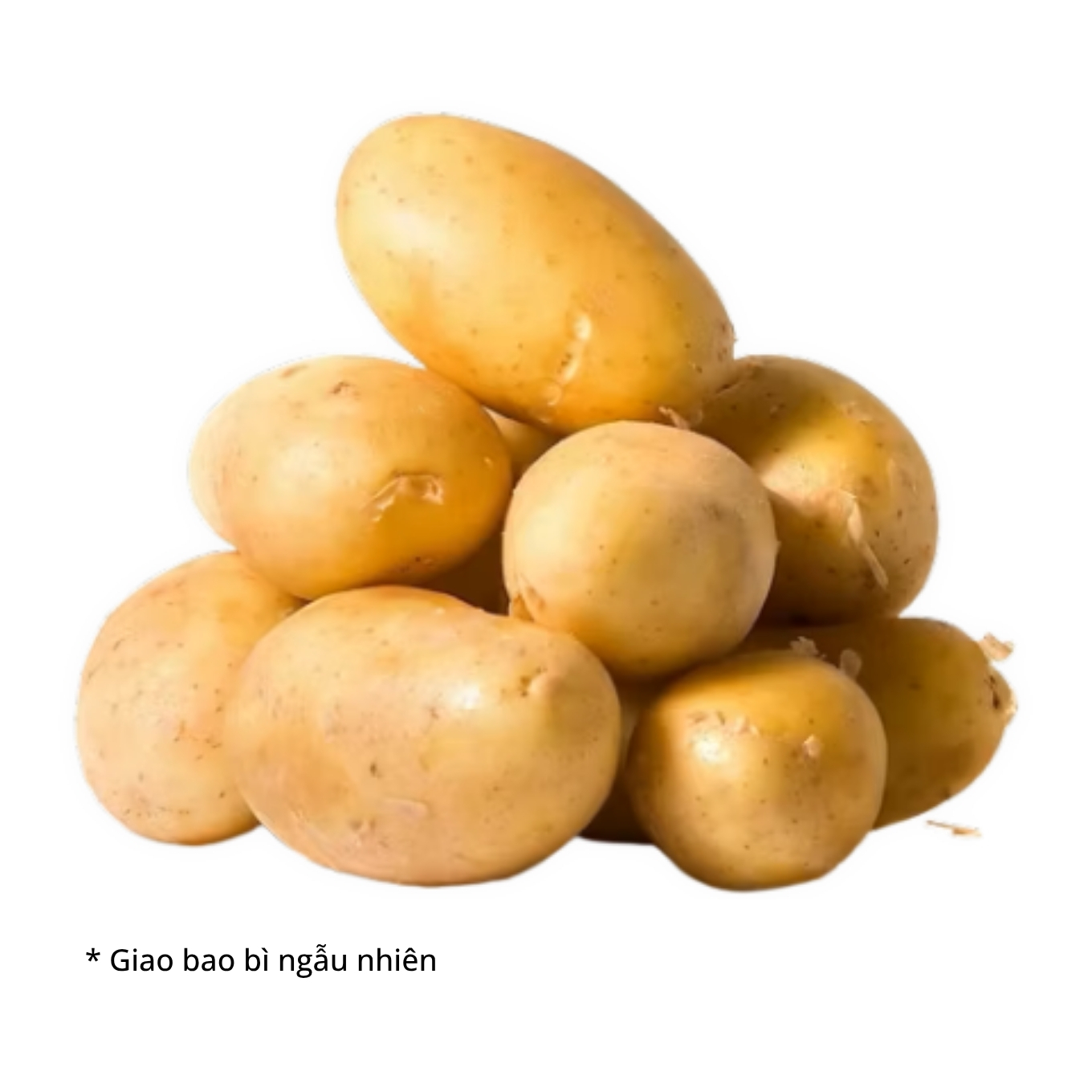 Khoai tây Đà Lạt VietGAP size trung túi 500g (1 Túi)