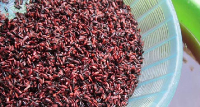 https://storage.googleapis.com/onelife-public/blog.onelife.vn/2021/10/cach-lam-com-ruou-nep-cam-mon-trang-mieng-934856744399.jpeg