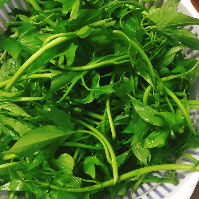 https://storage.googleapis.com/onelife-public/blog.onelife.vn/2021/11/cach-lam-djot-rau-lang-xao-toi-mon-chinh-867393617734.jpeg