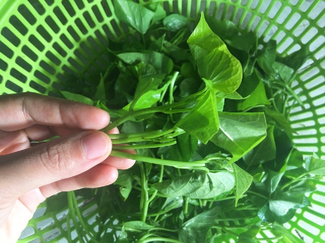 https://storage.googleapis.com/onelife-public/blog.onelife.vn/2021/11/cach-lam-rau-lang-xao-toi-ot-mon-chinh-453890955130.jpeg