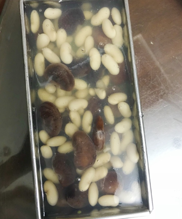 https://storage.googleapis.com/onelife-public/blog.onelife.vn/2021/11/cach-lam-yokan-thach-tra-xanh-va-cac-loai-djau-mon-trang-mieng-612727505100.jpeg