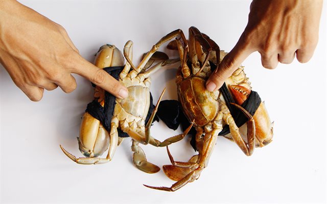 Cách chọn cua ngon Kingfoodmart