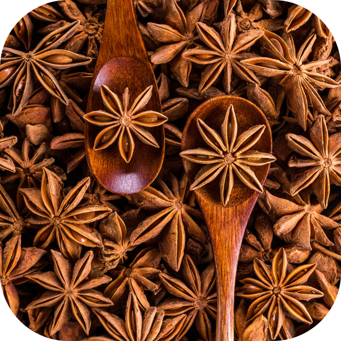 lợi ích tuyệt vời của hạt hồi Kingfoodmart