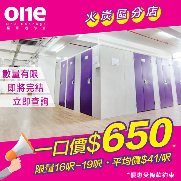 mini-storage-fo-tan-march-offer-limited-tc