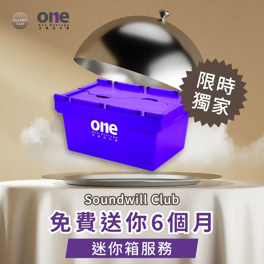 迷你仓如何帮助玩具收藏家2 | 至尊迷你仓 One Storage