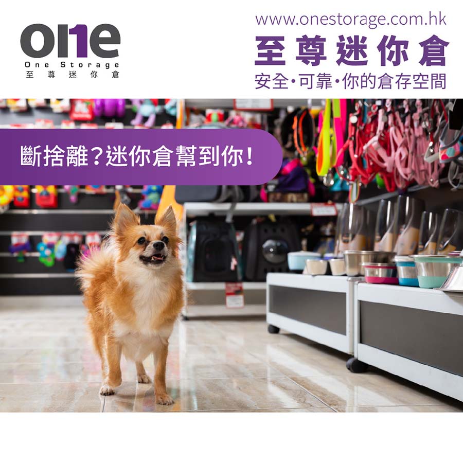 迷你倉 | 十個寵物用品收納要點 | 寵物用品 | One Storage | 至尊迷你倉