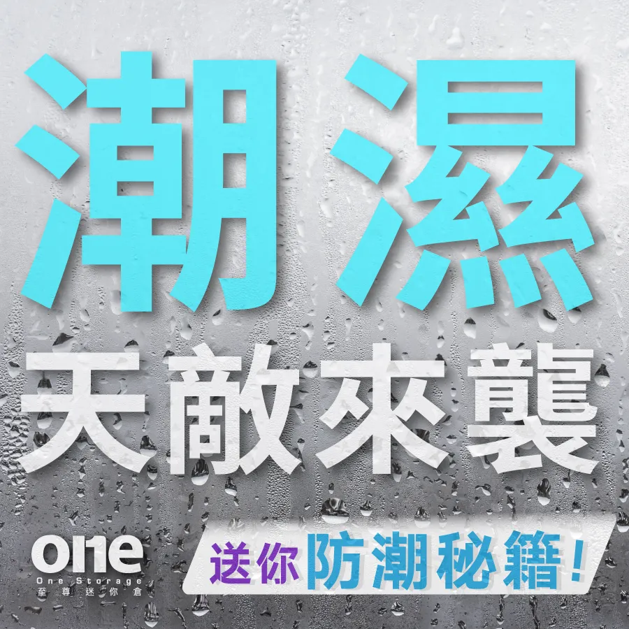 回南天來襲！潮濕季節防發霉攻略｜迷你倉