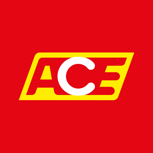 Test celoročních pneumatik 205/55 R17 – ACE 2022