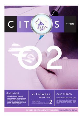 revista-citos-v2.jpg