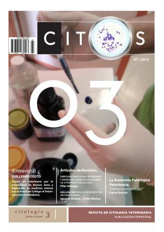 revista-citos-3.jpg