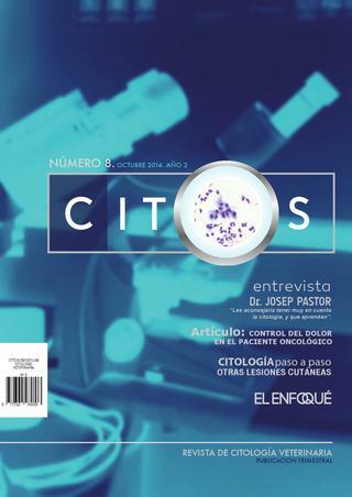 revista-citos-8.jpg