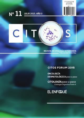 revista-citos-11.jpg