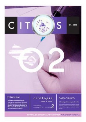 revista-citos-v2.jpg