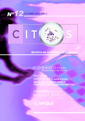 revista-citos-12.png