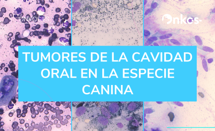 Tumores cavidad oral especie canina.png