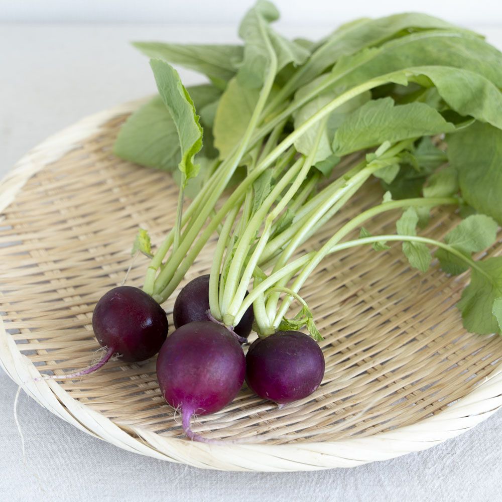 ごめす農園さんのラディッシュ(紫) 150g - 画像2