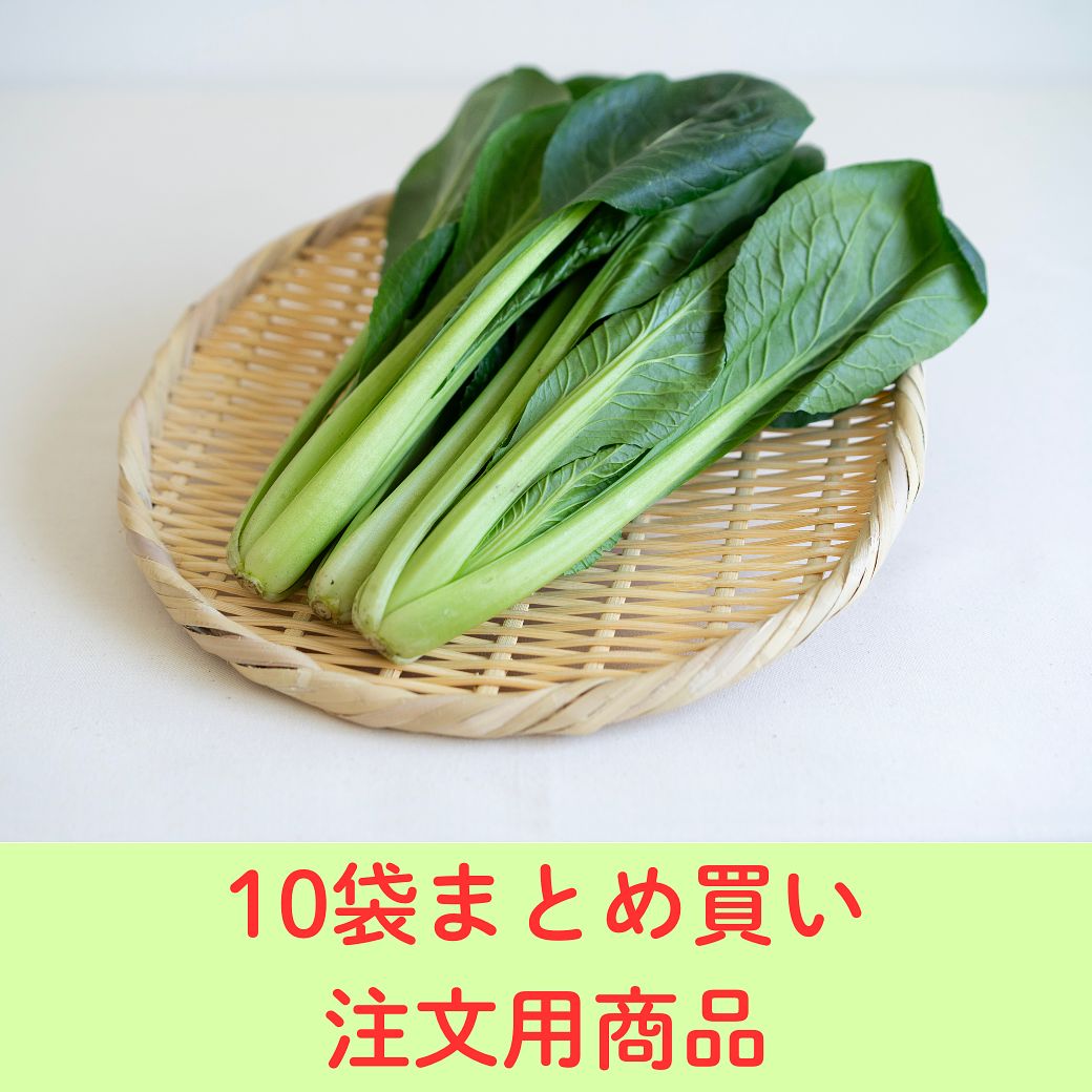 コマツナ 200g×10袋
