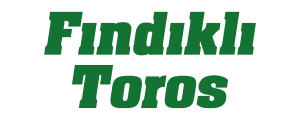 Fındıklı Toros