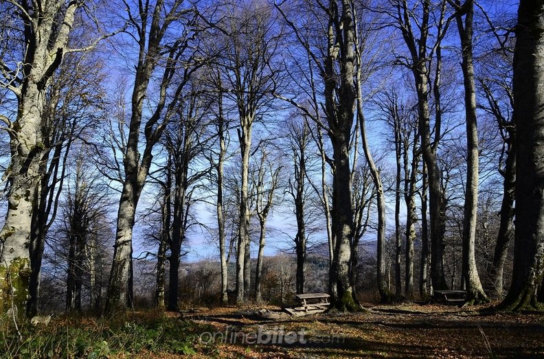 kuzuyayla tabiat parkı kamp