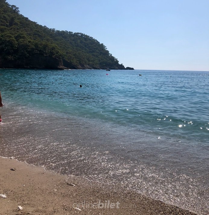 kabak koyu