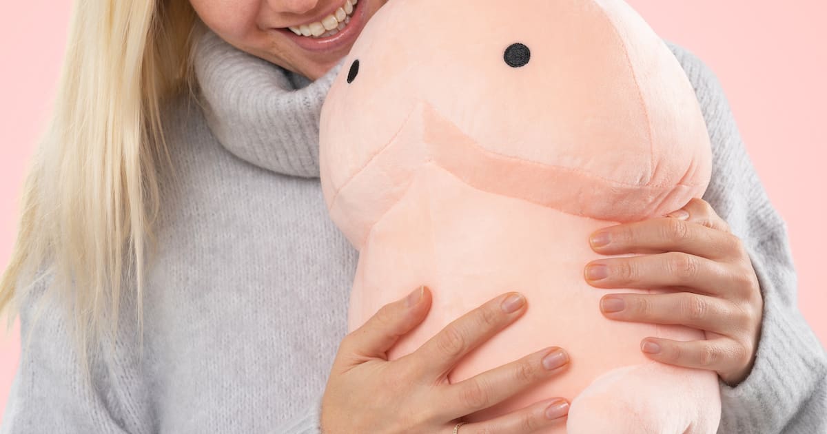  🎁 pp Pillow ➡️ Online på Coolstuff🪐