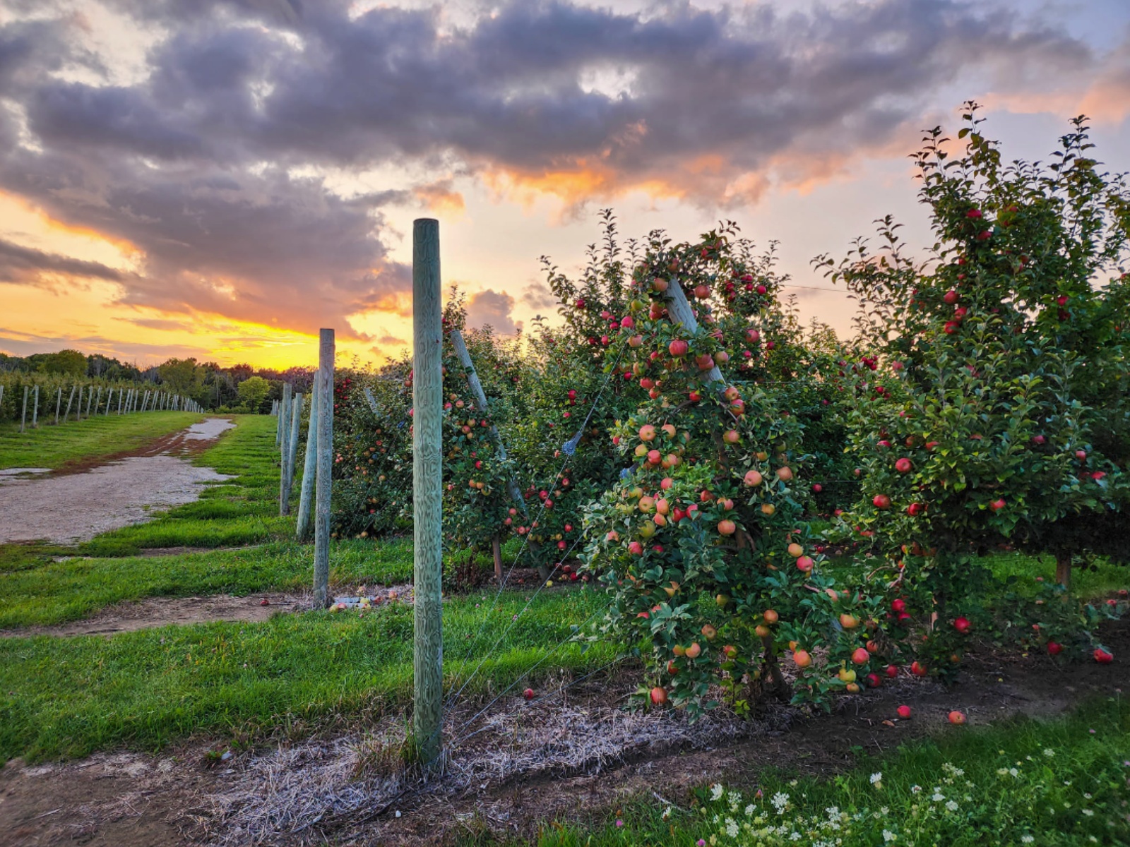 Photo by: Appleland Farm Market Facebook