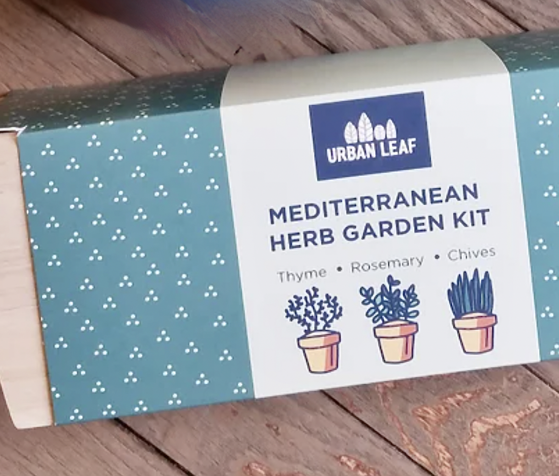 herb garden kit