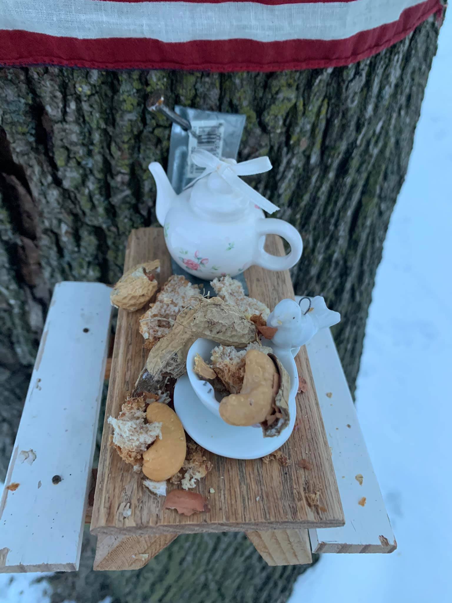 squirrel picnic table tea set