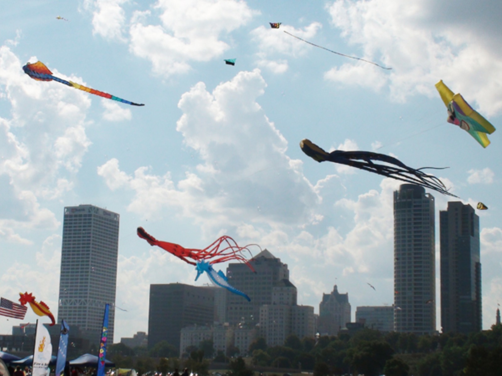 Family Kite Festival