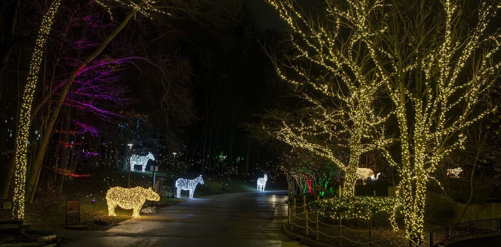 Wild Lights Milwaukee County Zoo