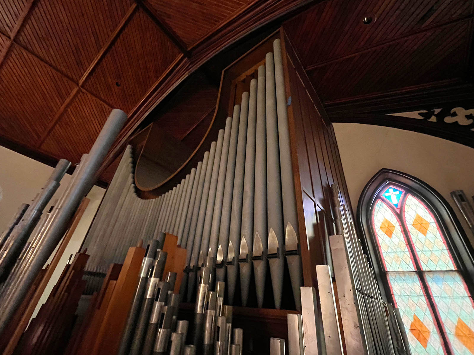 organ