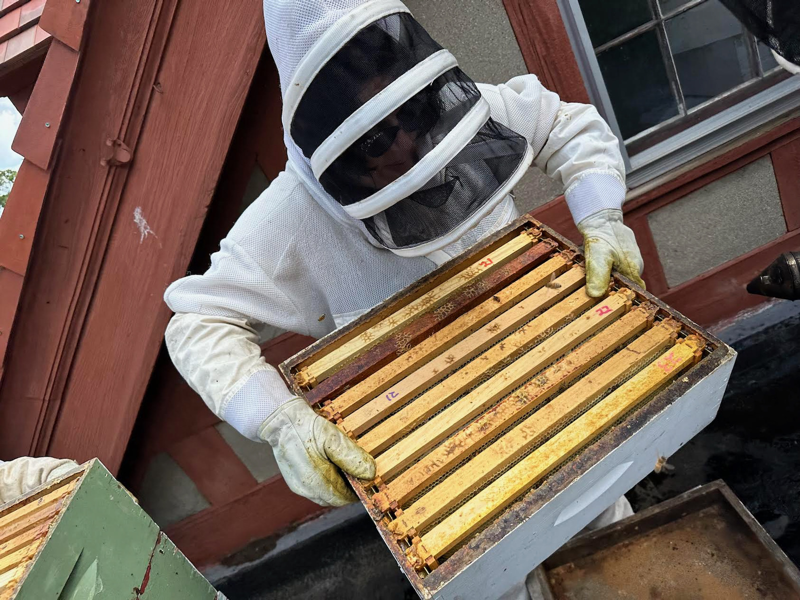 forest home cemetery bees honey