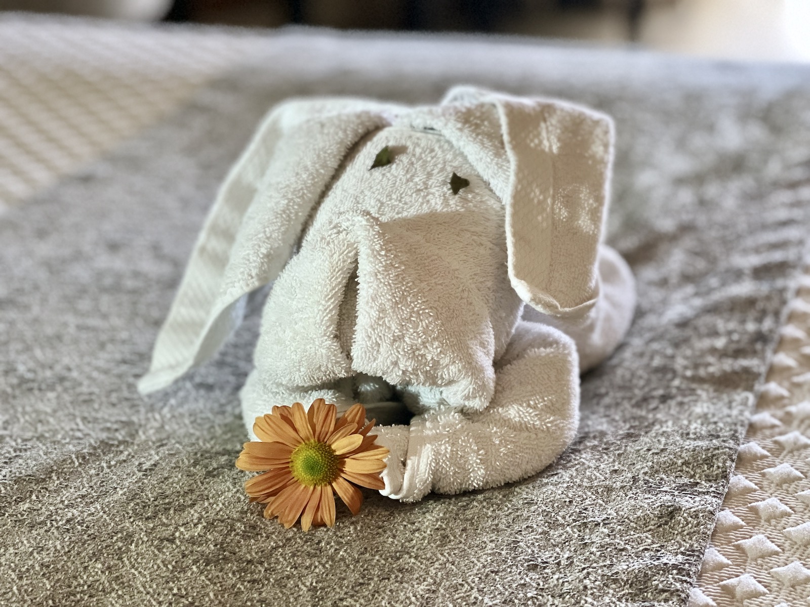 Towel sculptures