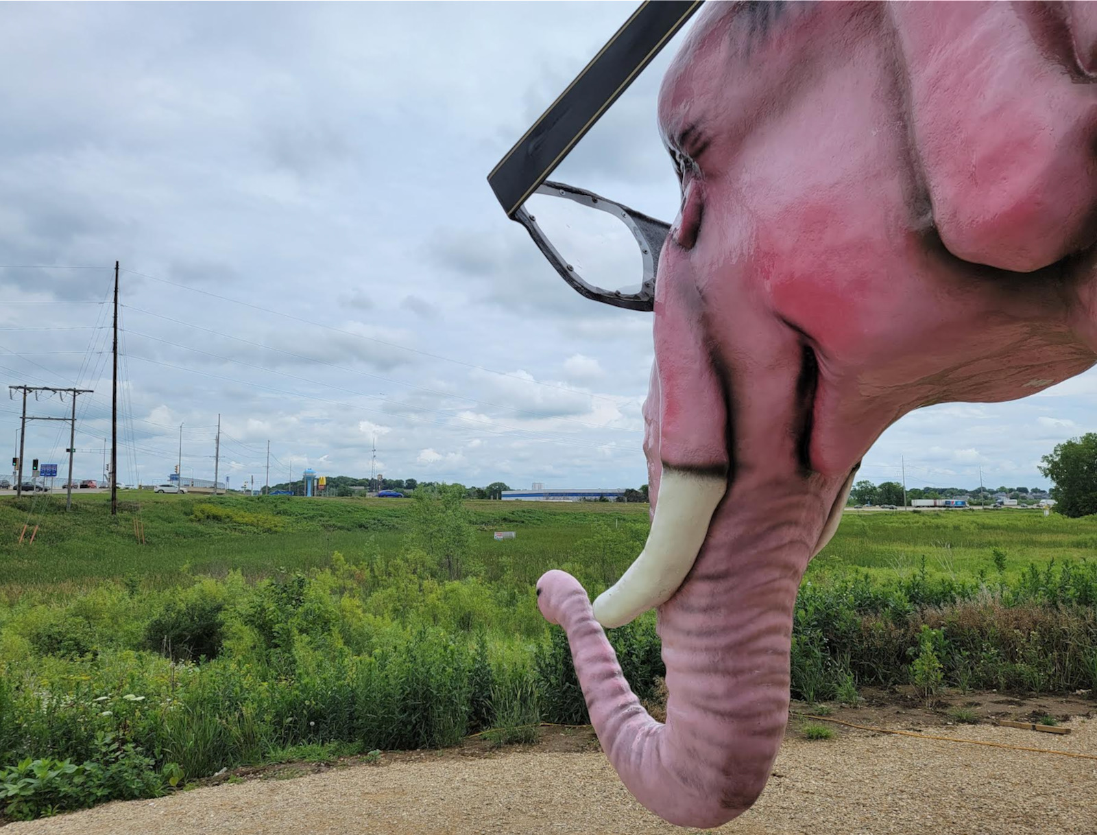 pink elephant