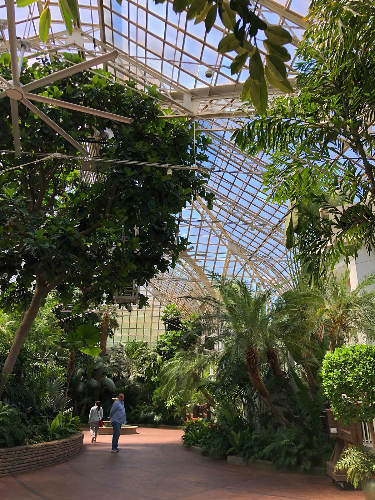 Palm house