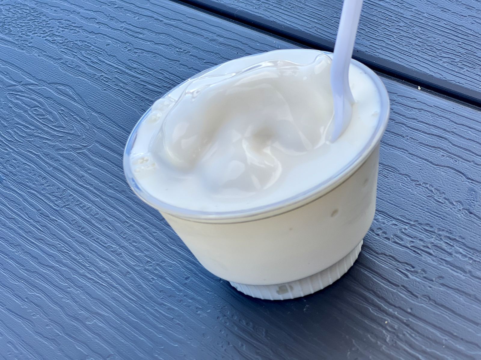 Frozen Custard