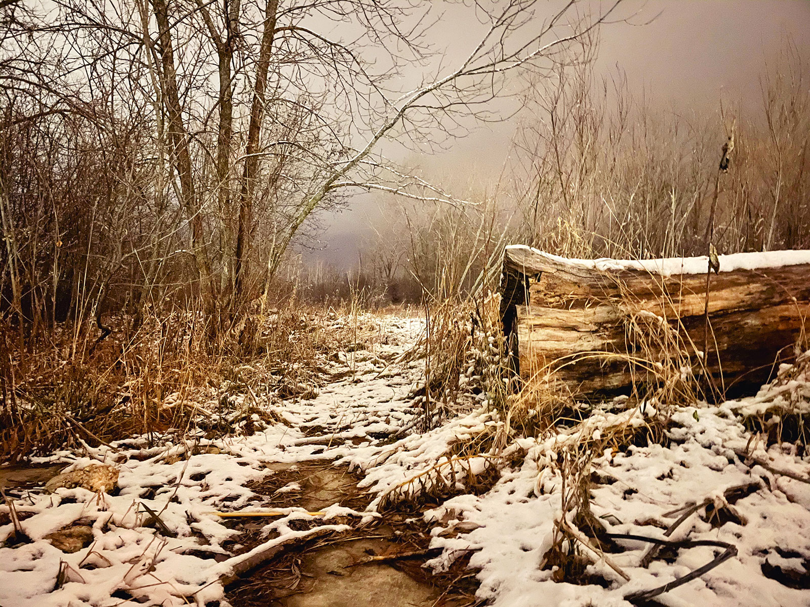 A snowy, dark entrance to North Lake Park, covered in fog.