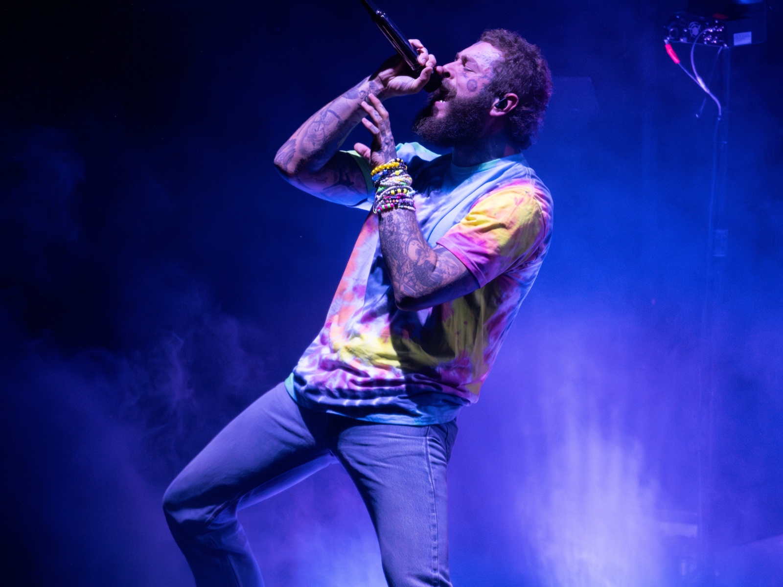 With rockstar vibes & golden retriever energy, Post Malone rocked Alpine  Valley