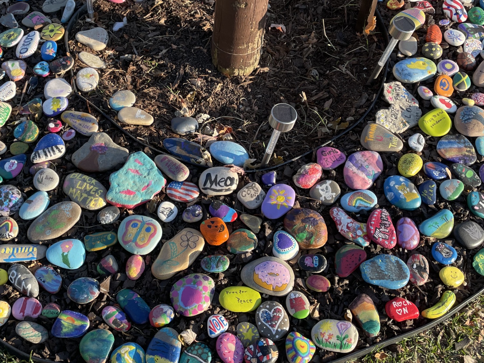 Why Little Painted Rocks Are Popping Up All Over Fairfax